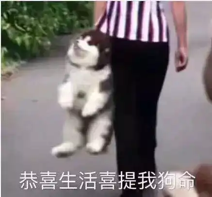 美了美了歌词表情包宁真