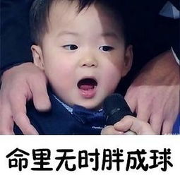  美丑有命胖瘦在天表情包