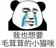 表情包我还是不找你了,免得你又笑话我离不开你,说我酸了 表情包我还是不找你了,免得你又笑话我离不开你,说我酸了