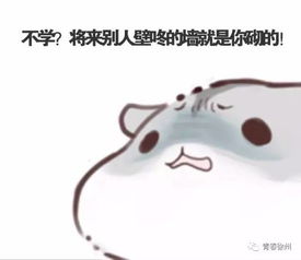 celeste表情包小仓鼠