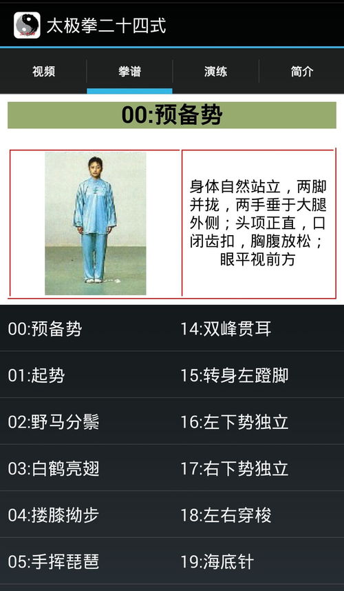  表情太极拳二十四式下载太极拳二十四式手机版最新太极拳二十四式...表情
