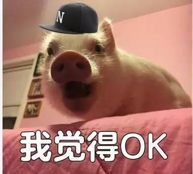  陈伟霆举办女皇见面会,大秀男友力爸爸力,也是蛮刺激的
