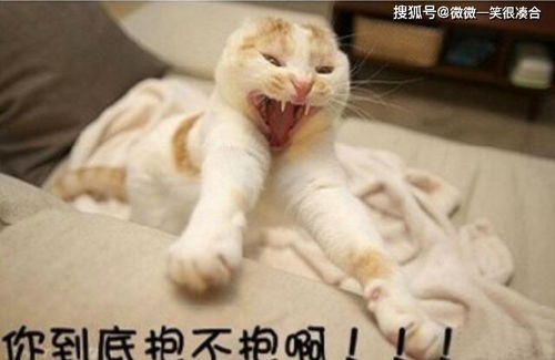  人是铁,饭是钢,骨头里面没有汤