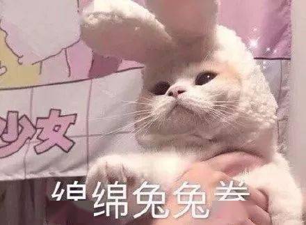  沙雕表情包丨你们好可以小声一点吗