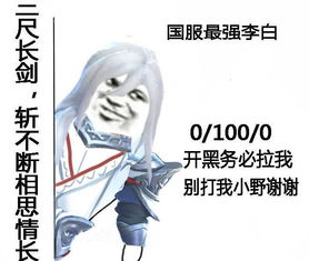  王者荣耀我怕是遇到假打野系列,国服阿轲自称自己有九条命