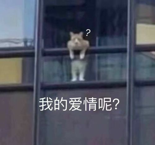 恋爱中的表情包恋情