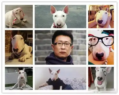 惊呆丨19岁超模撞脸林永健相似度99堪比复制粘贴 惊呆丨19岁超模撞脸林永健相似度99堪比复制粘贴