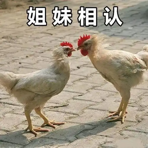 流量瓶颈期把好兄弟同类产品的流量给全吃掉,还怕爆不了单 流量瓶颈期把好兄弟同类产品的流量给全吃掉,还怕爆不了单