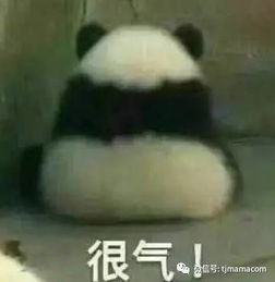 老师把犯错孩子照片发到幼儿园群里