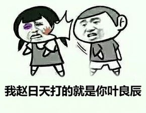 聊天必备赵表情包