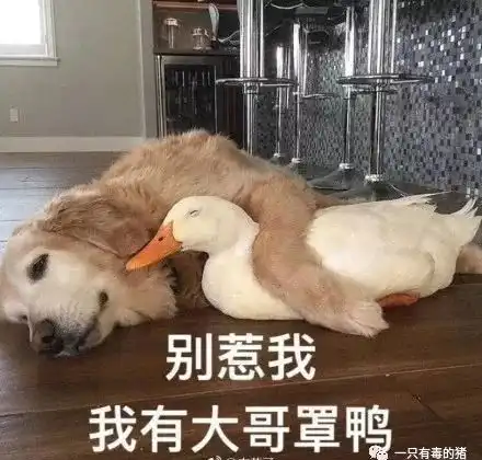  花900块买的cpb贵妇粉底液,用了居然搓泥