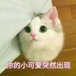  英国商科择校看什么钱人脉数学