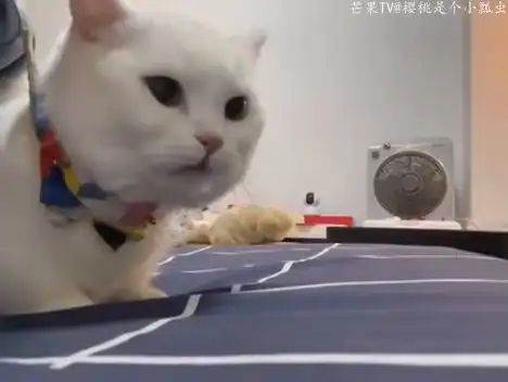 我保证下次放屁还要给你闻一看表情就知道你没闻够吼 我保证下次放屁还要给你闻一看表情就知道你没闻够吼