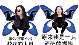  乘风破浪的姐姐搞笑表情包第18弹明天五公冲呀东扯西扯李扯火