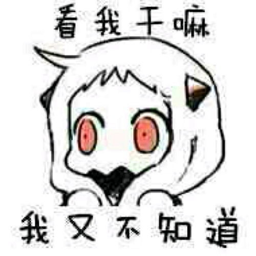  哔哩哔哩专栏