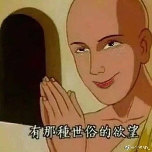  我的收藏
