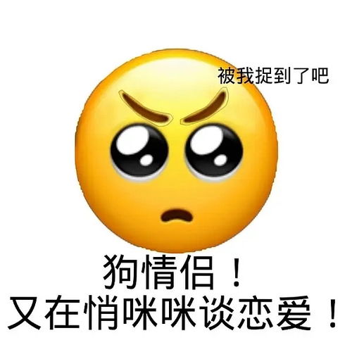  之前不敢说