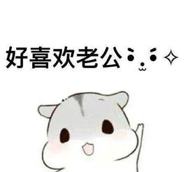  哄老公开心表情包