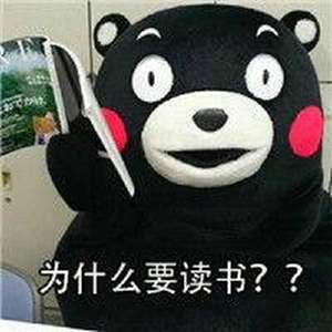  熊本熊开学表情包话题最新动态爱奇艺泡泡
