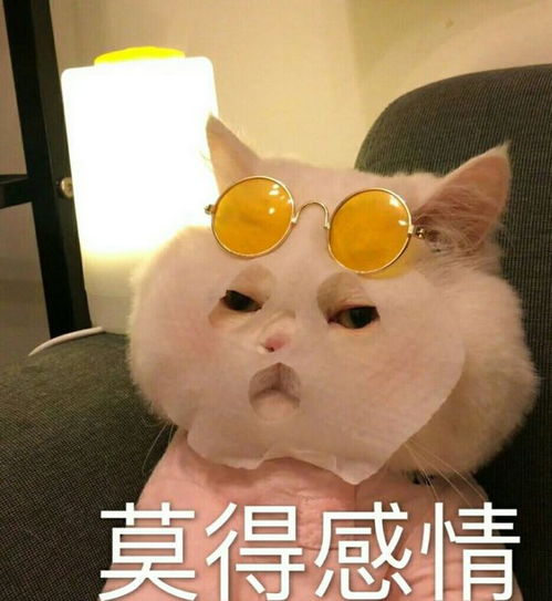  有哪两句本毫不相干的诗句,但拼在一起却天衣无缝