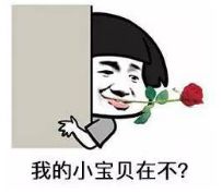 可爱迷你小尺寸表情包全
