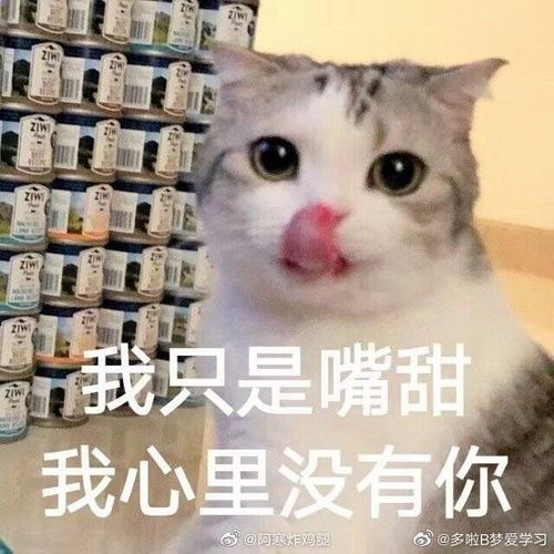  xjb搞搞