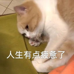  疲惫表情包疲惫微信表情包疲惫qq表情包发表情fabiaoqing.com