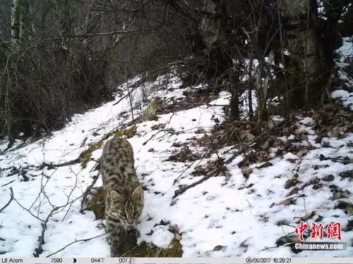 这组在青海偷拍的照片你一定要看 这组在青海偷拍的照片你一定要看