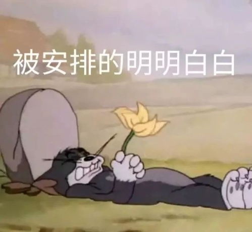 钓鱼表情包图片大全七夕