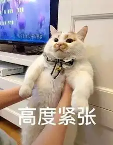 上帝最近缺宠物了,把俊介和楼楼都带走了 上帝最近缺宠物了,把俊介和楼楼都带走了