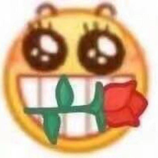  52hz的相册沙雕表情包