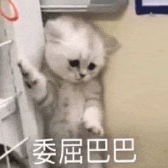  1南物语与舍友书