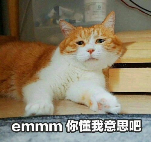  台圈还有几个好男人男星接连翻车,出轨成性道德感低原因为何