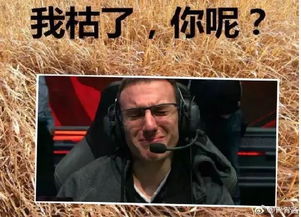  ig暴打g2赛后各种表情包霸屏朋友圈