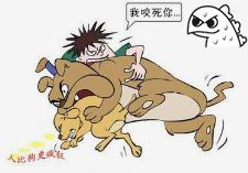咬死你表情包犬道