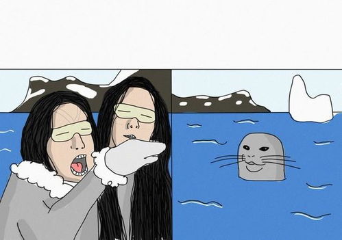  改图女子骂猫表情包全网大混战看看哪个最有才