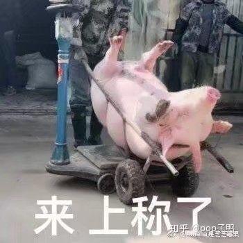  在你给外卖订单评论以后,都遇到过外卖商家的哪些神回复