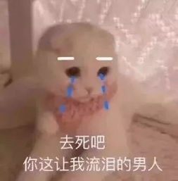  表情包你是老子的女人
