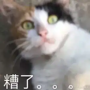 日常吸吸猫表情包 日常吸吸猫表情包