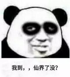  你生平用过最沙雕的表情包是什么
