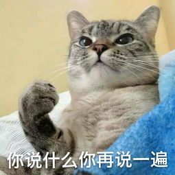  汪星人表情包单身狗也敷面膜啦