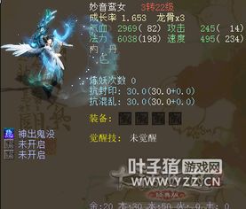  大话西游2围观新宠妙音鸾女这升级速度果断膜拜