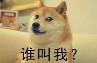  东北小伙带准洋媳妇回家过年,婆婆的态度变得真快