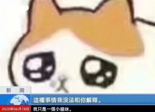  沙雕猫猫表情包气到炸毛