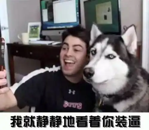 这些狗狗表情包,看过的人都收藏了哟 这些狗狗表情包,看过的人都收藏了哟