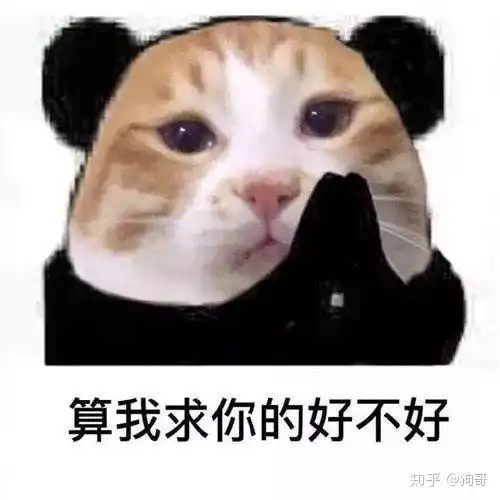 过高速猫狗被焚烧,人被隔离猫咪被活埋,社区可以依法杀害猫狗吗 过高速猫狗被焚烧,人被隔离猫咪被活埋,社区可以依法杀害猫狗吗