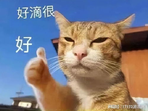 猛虎落泪表情包 微博坟