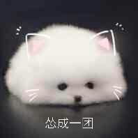  情人节没有问候没有联系,是不是可以放弃了