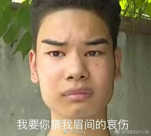 追风少年刘全有表情包你