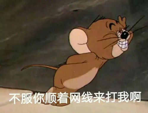  账号被盗后,字母哥再次发怒直接索赔200w,把对方告上法庭